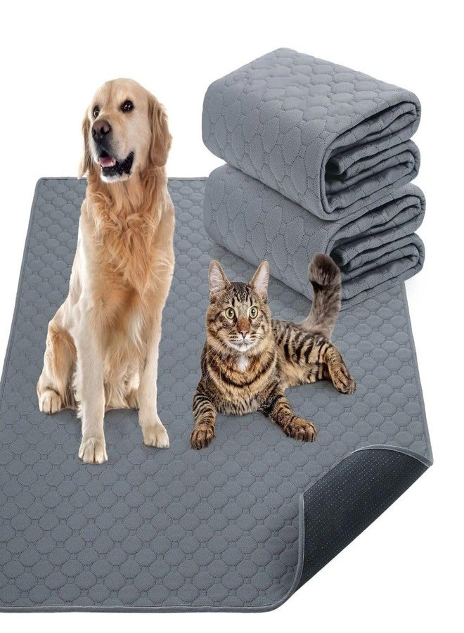 PET FUN Washable Pee Pads for Dogs - Reusable, High-Absorption, Leakproof Training Pads for Puppies & Senior Dogs | Multi-Purpose Dog Pee Mat (Pack of 2, 60x90cm) - Image 1